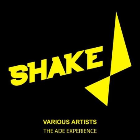The Ade Experience (2017)