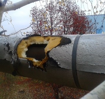 Наблюдатели миссии ОБСЕ вскрыли повреждение хлоропровода на Донецкой фильтровальной станции(фото)