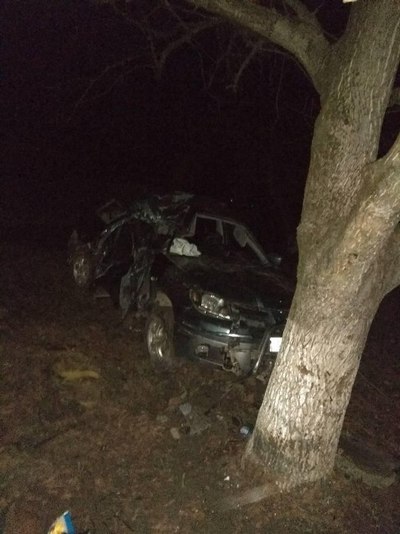 На Закарпатье кроссовер на большенный скорости врезался в дерево: погибли три человека(фото)