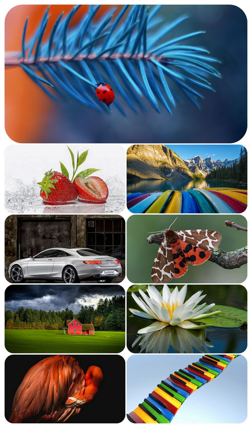 Beautiful Mixed Wallpapers Pack 572