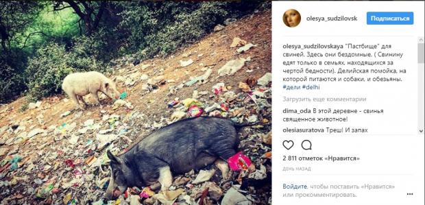 Олеся Судзиловская забралась в индийские трущобы: актрису чудом не покусали бездомные свиньи