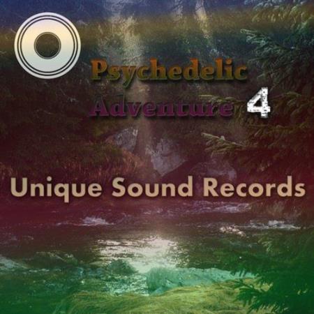 Psychedelic Adventure 4 (2017)