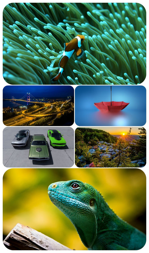Beautiful Mixed Wallpapers Pack 585