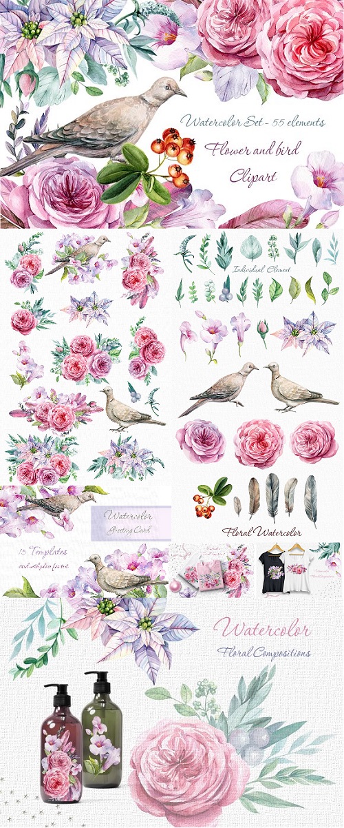 Flower and bird Clipart. Watercolor - 2017966