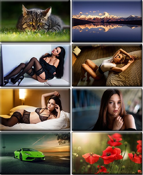 LIFEstyle News MiXture Images. Wallpapers Part (1324)