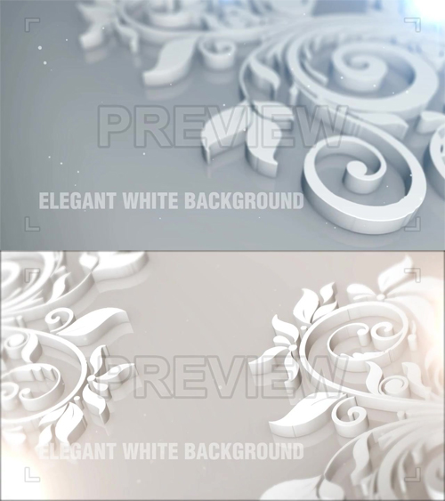 MA - Elegant White Background