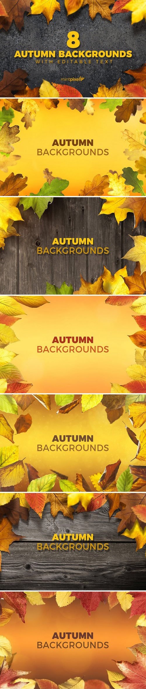 8 Colorful Autumn Backgrounds 2025124