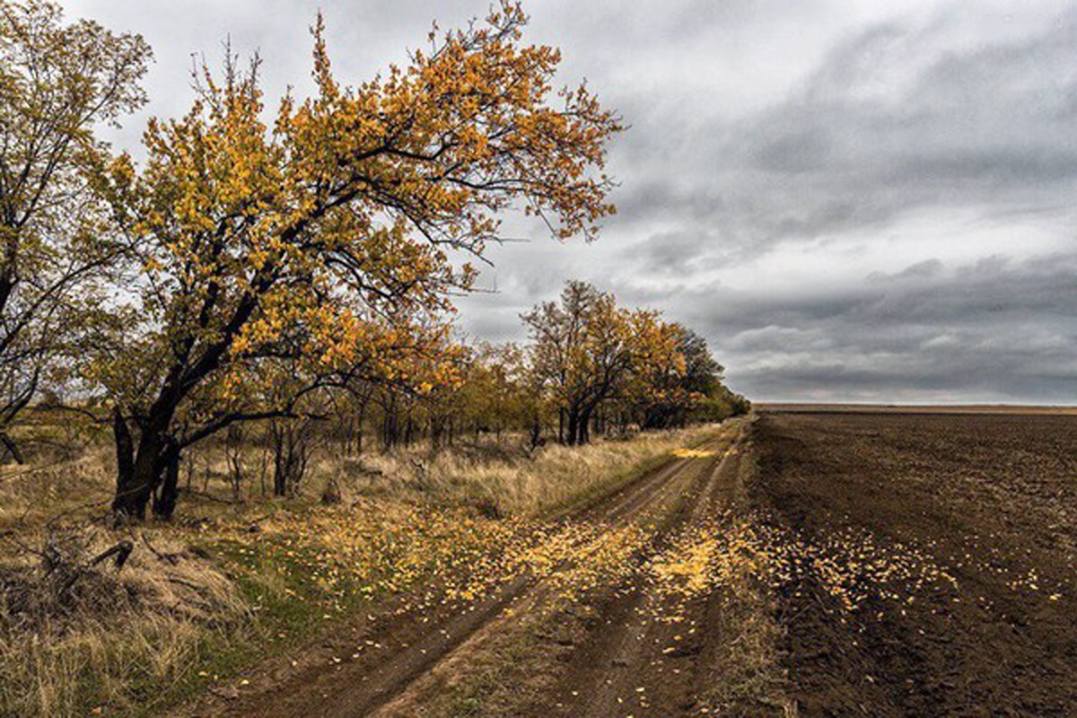 Уходящая осень в Ростовской области.