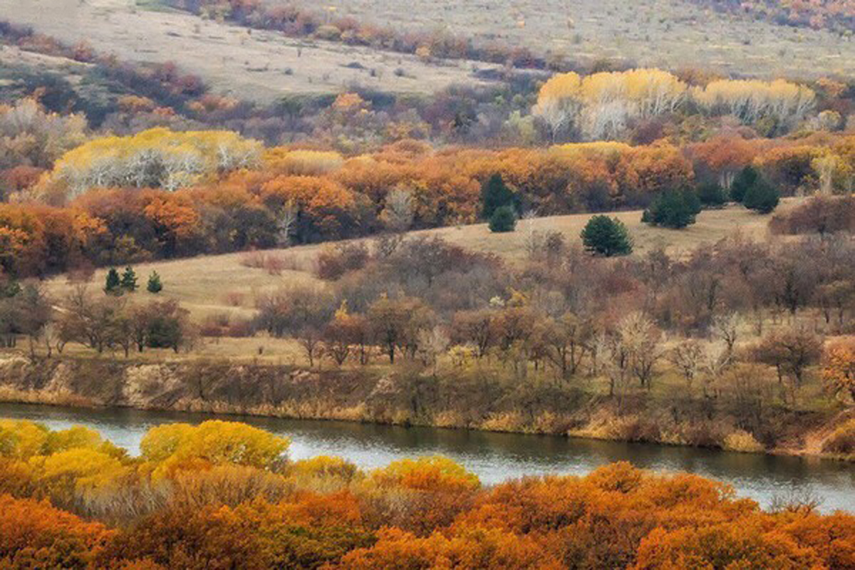 Уходящая осень в Ростовской области.