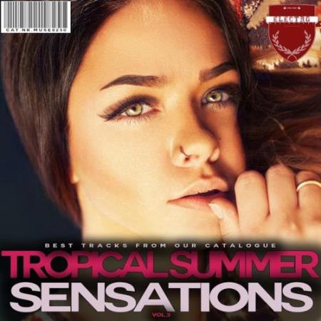Tropical Summer Sensations, Vol. 3 (2017)