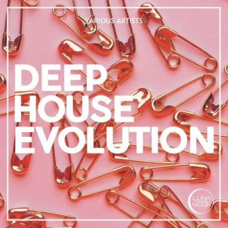 Deep House Evolution (2017)