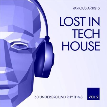 Lost In Tech House (30 Underground Rhythms), Vol. 2 (2017)