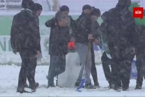 Болельщики Карпат сделали снеговика прямо на поле