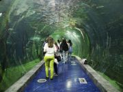 На Мальдивах открылся 1-ый в мире подводный отель / Новинки / Finance.ua