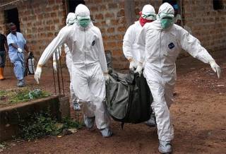 В Африке продолжает буянить лихорадка Эбола: число жертв стремительно растет