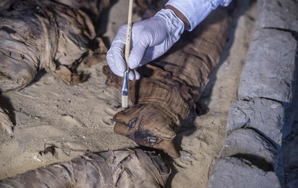 В Египте раскопали древнюю коллекцию кошек-мумий