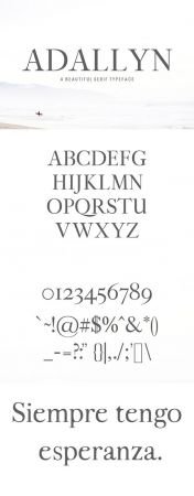 Adallyn Serif Font Family 3136561