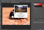 Adobe Photoshop CC 2018 (v19.0) x86-x64 Portable by punsh (with Plugins) (x86-x64) (2017) [Multi/Rus]