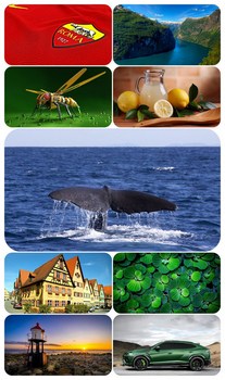 Beautiful Mixed Wallpapers Pack 866